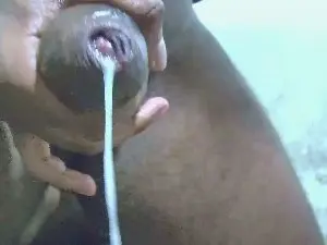 Cam4 Adult Video Chat of HaremGod