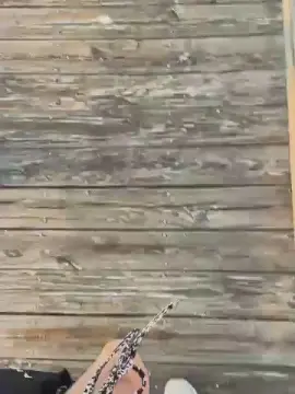 Cam4 Free Porn Cam of raelynnbby