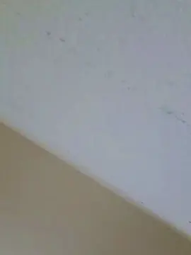 Cam4 Free Porn Cam of Chia562002