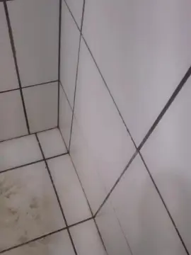 Cam4 Sex Cam of Sexytube26