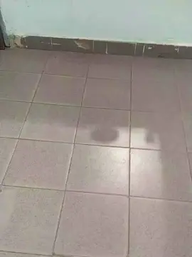 Cam4 Sex Cam of Sinfulboyy