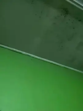 Cam4 Free Porn Cam of franch_xxx