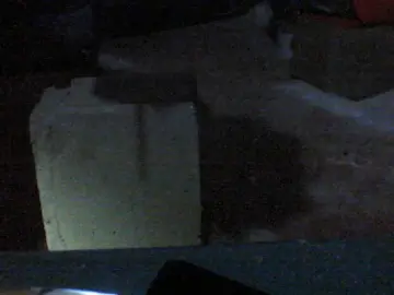 Cam4 Adult Video Chat of Oneballx