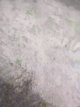 Cam4 Live Porn of zalasarvl