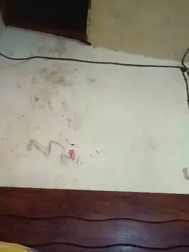 Cam4 Sex Chat of minikit_sexy