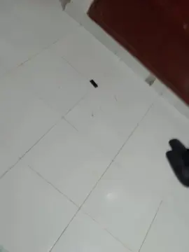 Cam4 Adult Video Chat of Juliommm7