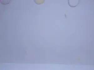 Cam4 Adult Webcams of AmaranttayLunay