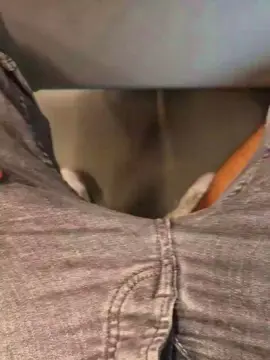 Cam4 Live Porn of Gambler004