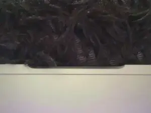 Cam4 Live Sex Cam of blackk_latino