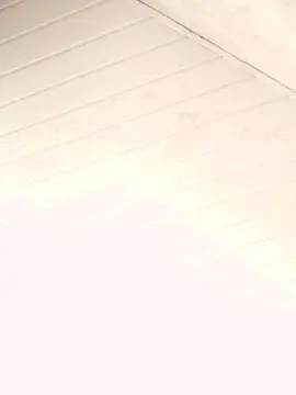 Cam4 Live Sex Cam of CasalBR42