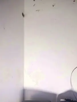 Cam4 Adult Webcam of Max_hardPig