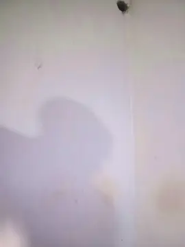 Cam4 Sex Cam of Max_hardPig