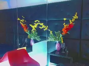 Cam4 Adult Video Chat of littlehorny_19