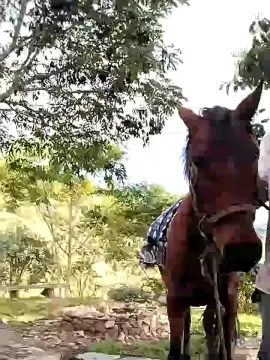 Cam4 Adult Webcams of Remote_live