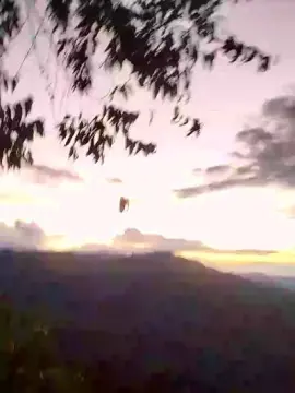 Cam4 Adult Webcam of Remote_live