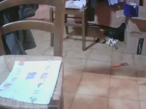 Cam4 Live Sex Cam of BellinoNa