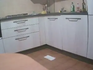 Cam4 Adult Video Chat of BellinoNa