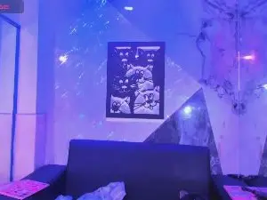 Cam4 Best Webcam of Team_Stanford