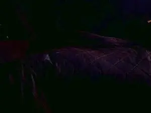 Cam4 Sex Chat of Dusty2320