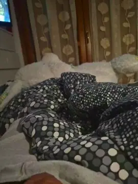 Cam4 Nude Webcam of spyci5