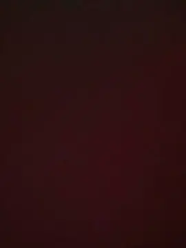 Cam4 Sex Cam of Wet_Genitals