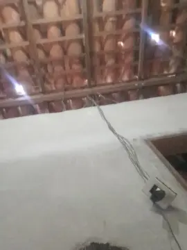 Cam4 Nude Webcam of capetinha1821