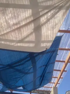 Cam4 Sex Cam of richard2061