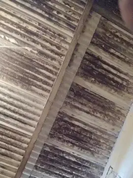 Cam4 Best live sex cam show of mgzin