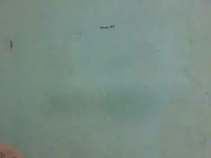 Cam4 Private Sex Chat of Rasoanir