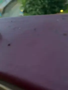 Cam4 Live Porn of camo1985