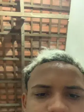 Cam4 Private Sex Chat of novindot20cm_