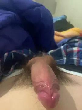 Cam4 Free Live Porn of freecumguy19