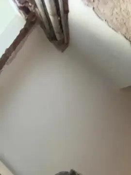 Cam4 Free Porn Cam of Floppy699