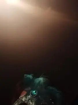 Cam4 Live Sex of aries1882