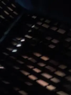 Cam4 Adult Webcam of NovinPauzudoo