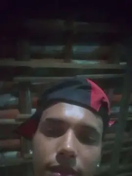 Cam4 Best Webcam of Vini18cm_novin