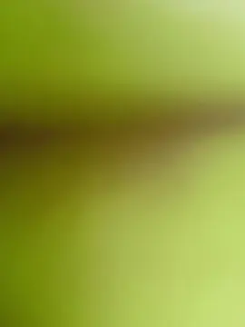 Cam4 Adult Webcams of PAUZUDONORDESTI