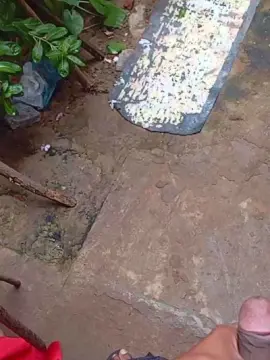 Cam4 Nude Webcam of PAUZUDONORDESTI