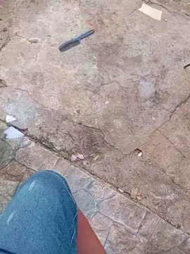 Cam4 Adult Video Chat of PAUZUDONORDESTI