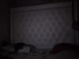 Cam4 Live Porn of Sexrary