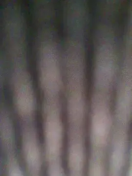 Cam4 Live Sex Cam of agusttinak3