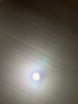 Cam4 Nude Webcam of Polezz