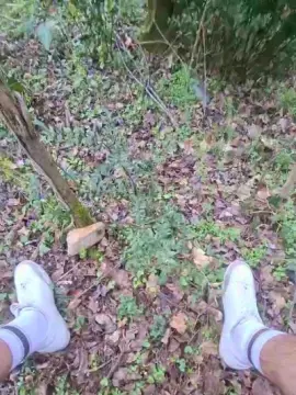 Cam4 Live Sex Cam of maxxboy3