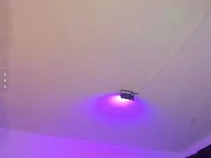 Cam4 Adult Webcam of Amy_Kiitty