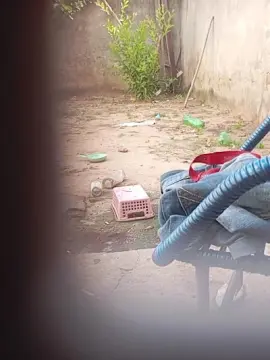 Cam4 Best Webcam of PIROKUDO89