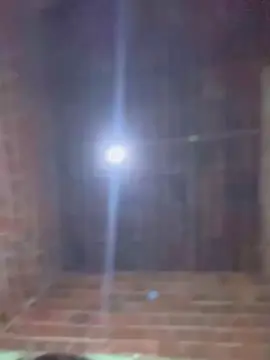 Cam4 Free Live Porn of macacoeTa