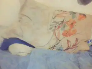 Cam4 Best live sex cam show of Bvndido19cm