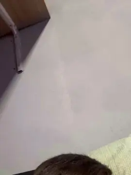 Cam4 Best live sex cam show of David0076a