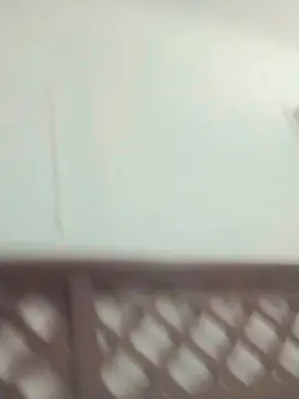 Cam4 Live Sex of alejandro9088