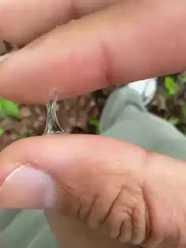 Cam4 Adult Video Chat of Tanofax24